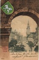 Graz, Bismarck Platz, Herrenstrasse, Wappen / square, street, coat of arms, gate litho