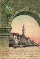 Steyr, Rathaus / town hall, gate, coat of arms litho (EK)