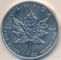 Kanada 1988. 5$ Ag "Erzsébet" T:2
Canada 1988. 5 Dollars Ag "Elizabeth" C:XF