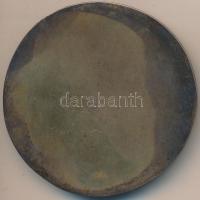 ~1970. "Vezess Baleset Nélkül Mozgalom" Br emlékplakett (69mm) T:2