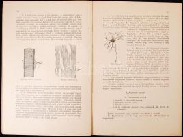 Dr. Batiz Dénes: Egészséges élet. Az ifjúság egészségügyi képzésére való különös tekintettel. Bp., 1...