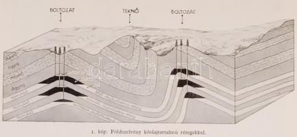 Nauwelaerts: Harc a petróleumért, Bp. 1937. Természettudományi Könyvkiadóvállalat kiadása, fordított...