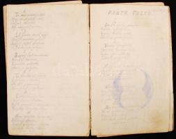 1915 Egy első világháborús katona frontnaplója. Saját kézzel írt frontélmények, rajzok versek, Borít...