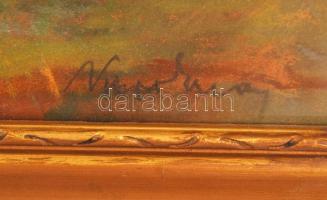 Olvashatatlan jelzéssel: Zivatar után. Pasztell, papír, üvegezett keretben, 28×47 cm