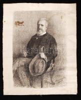 Paczka Ferencné Wagner Cornelia (1864-?): Bezerédj Pál (1840-1918). A magyar selyemhernyó-tenyésztés és selyemgyártás mentora. Kőnyomat, papír, jelzett, foltos, gyűrött, kis szakadásokkal, felcsavarva, 58×37 cm