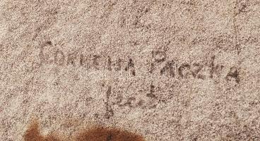 Paczka Ferencné Wagner Cornelia (1864-?): Bezerédj Pál (1840-1918). A magyar selyemhernyó-tenyésztés...