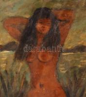 Olvashatatlan jelzéssel: Női akt. Olaj, farost, 34×24 cm