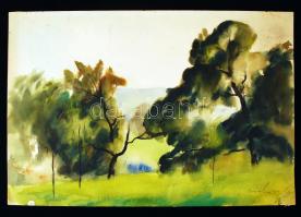 Olvashatatlan jelzéssel: Tisztás. Akvarell, papír, 30×44 cm