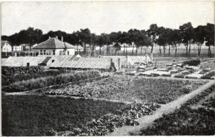 Budapest XIV. Zugló, Egressy út 71., Fővárosi gazdasági és háztartási iskola