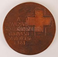 Nyírő Gyula (1924-2005): Henri Dunant. A Nemzetközi Vöröskereszt alapítója. Kétoldalas bronz plakett...