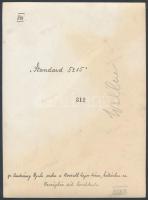 cca 1930-1940 Wollner: Budapest, gr. Andrássy Gyula szobra a Kossuth Lajos téren, háttérben az Orszá...