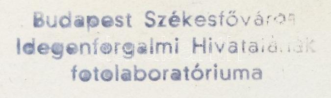 1945 A háború pusztítása a Budai várban, 17x12 cm