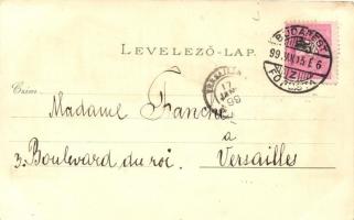 1899 Budapest, litho