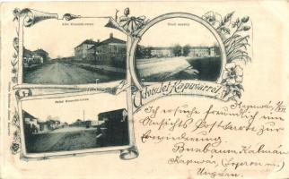 1899 Kapuvár, Kossuth utca, Uradalmi kastély; kiadja Buxbaum József, floral (EB)