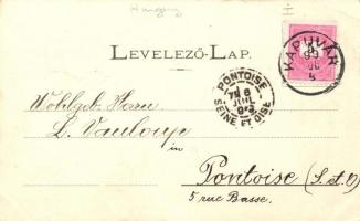 1899 Kapuvár, Kossuth utca, Uradalmi kastély; kiadja Buxbaum József, floral (EB)