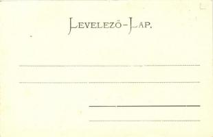 Eger, Katolikus székesegyház, kollázs / collage; kiadja Károly Gyula