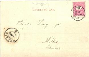 1899 Nagykanizsa, Csengery utca, Főtér, Deák tér; floral