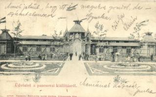 1905 Pancsova, Kiállítás, Iparcsarnok; a Pancsovai Népkonyha egylet kiadása / Exposition building