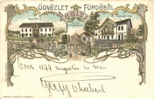 1899 Csízfürdő, Szanatórium, Kútház, Nedeczky-telep; litho (EK)