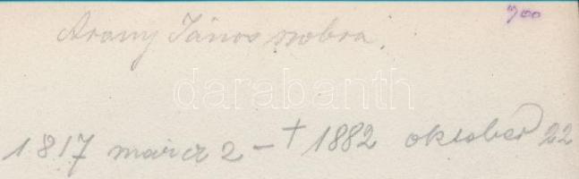 cca 1890 Budapest, Nemzeti Múzeum, Arany János szobra, feliratozva, 22x17 cm