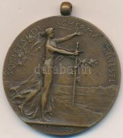 Olaszország / Trieszt 1906. "Nemzetközi Vívóverseny" Br emlékmedál (38mm) T:2 Italy / Triest 1906. "International Fencing Tournament" bronze medal (38mm) C:XF