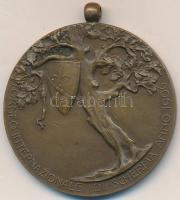 Olaszország / Trieszt 1906. "Nemzetközi Vívóverseny" Br emlékmedál (38mm) T:2
Italy / Trie...