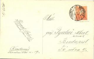 Graf Anton Karolyi's Motor-Jacht 'Pelikan' Winterstation Budapest / Gróf Károlyi Anta...