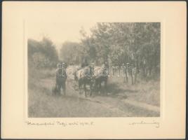 1930 Orphanidesz János (1876-1939): Hazafelé a pátyi erdőből, aláírt vintage fotóművészeti alkotás, képméret 11x16 cm, papírméret 18x24 cm