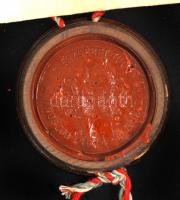 1912 Jogi diploma. A pozsonyi Erzsébet Tudományegyetemről. Függőpecséttel. Szép állapotban / Diploma...