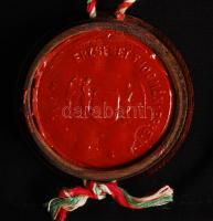 1912 Államtudományi diploma. A pozsonyi Erzsébet Tudományegyetemről. Függőpecséttel. Tokkal. Szép ál...