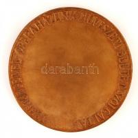 Pátzay Pál (1896-1979): Oláh Gusztáv 1901-1956. Bronz plakett, jelzett, d:9,6 cm