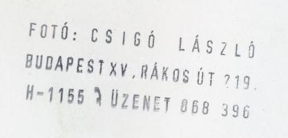cca 1980 Csigó László: Fürdőhely a Hortobágyon, pecséttel jelzett vintage fotó, kis lapszéli szakadá...
