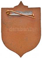 1874. "25. Magyar Eszperantó Kongresszus Szolnok" zománcozott fém jelvény T:2