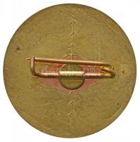 1979. " 'Szamuely Tibor' emléktúra" zománcozott jelvény T:2