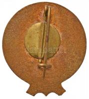 1961. "Tisza Martfű 1941-1961" zománcozott fém jelvény T:2