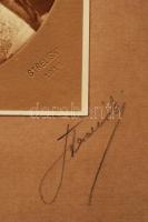 Harmatzy-Simon Lóránt miniszteri segédtitkár díszmagyarban. Strelisky fotó. Jelzett. 21x28 cm