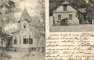 Balatonlelle, Szalay Villák, Balázsovich Gyula felvétele, Wolláh József kiadása (Rb)