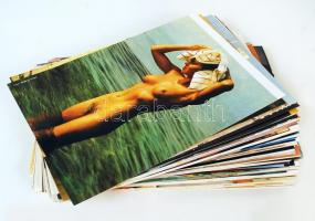 1970-1980 Finoman erotikus illusztrációk gyűjteménye a Das Magazinból, 202 db egész oldalas újságkiv...