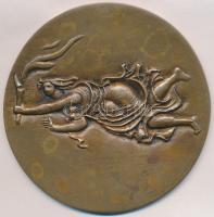 1970. "A Szocialista Igazságügy Szolgálatáért 1945-1970" Br emlékplakett (97mm) T:2