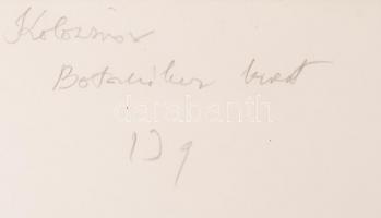 cca 1910-1930 Kolozsvár, A botanikus kert egy részlete, hátoldalon feliratozva, 11x9 cm