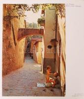 Gina Lollobrigida: Az én Itáliám. Alberto Moravia bevezetőjével. Bp., 1973, Corvina Kiadó. Kiadói eg...