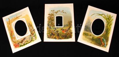 cca 1900 12 db madármintás, paszpartuként is használható litho albumlap keményhátú fotókhoz, 23x31 c...