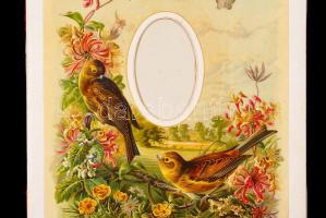 cca 1900 12 db madármintás, paszpartuként is használható litho albumlap keményhátú fotókhoz, 23x31 c...