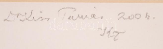 Kiss Tamás: Biotop és civilizáció. Vegyes technika, papír, jelzett, üvegezett keretben, 30×40 cm