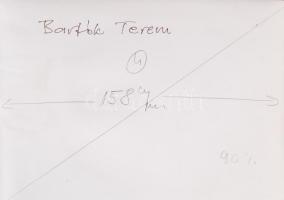 cca 1980 A szombathelyi zsinagóga, Bartók koncertterem, hátoldalán feliratozva, 18x13 cm