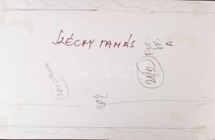 cca 1980 Széchy Tamás (1931-2004) úszóedző, hátoldalán feliratozva, sajtófotó, 15x23 cm