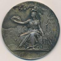 Franciaország 1903. "Párizsi Cipész Iskola" ezüstözött emlékérem névvel gravírozva (50mm) ...