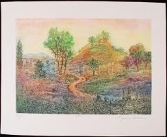 Gross Arnold (1929-): Nyár. Színezett rézkarc, papír, jelzett, 20×30 cm