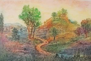 Gross Arnold (1929-): Nyár. Színezett rézkarc, papír, jelzett, 20×30 cm