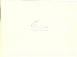 cca 1930 Macsi András (Budapest): Vacsora társaság egy budapesti vendéglőben, a falon irredenta jelk...